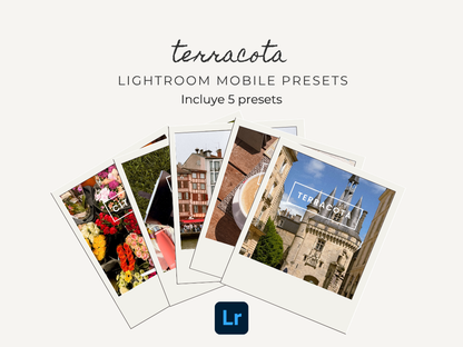 Preset Lightroom Mobile - Terracotta